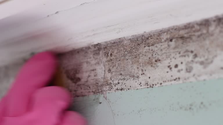 Mold Documentation for Insurance Claims in Oak Creek, WI